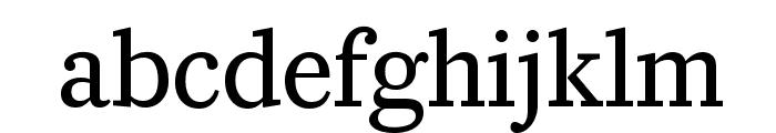 CaponiSlab RegularNo2 Reduced Font LOWERCASE