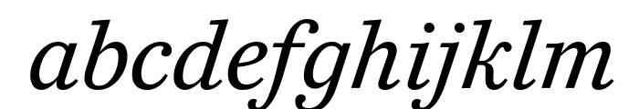 CaponiText RegularItalic Reduced Font LOWERCASE