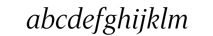 Dignitas Italic Reduced Font LOWERCASE