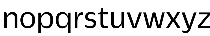 DuplicateSans Regular Reduced Font LOWERCASE