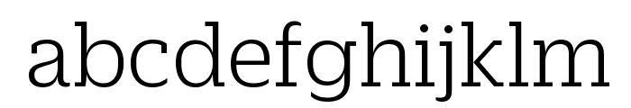 DuplicateSlab Light Reduced Font LOWERCASE