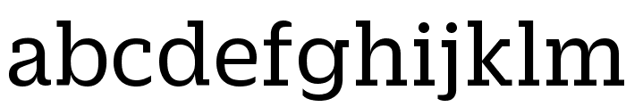 DuplicateSlab Regular Reduced Font LOWERCASE