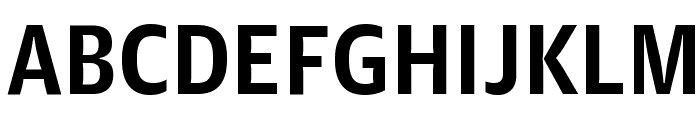 GuardianAgateSans G1DuplexBold Reduced Font UPPERCASE