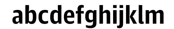 GuardianAgateSans G1DuplexBold Reduced Font LOWERCASE