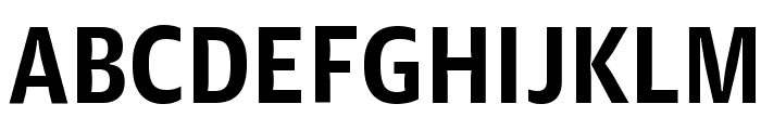 GuardianAgateSans G2DuplexBold Reduced Font UPPERCASE