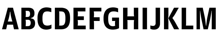 GuardianAgateSans G3DuplexBold Reduced Font UPPERCASE