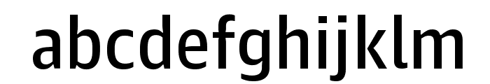 GuardianAgateSans G4DuplexRegular Reduced Font LOWERCASE