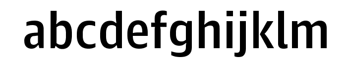GuardianAgateSans Medium Reduced Font LOWERCASE