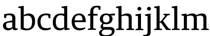 GuardianTextEgyp Regular Reduced Font LOWERCASE
