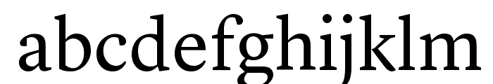 LyonText Regular Reduced Font LOWERCASE