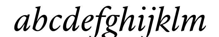 LyonText RegularItalic Reduced Font LOWERCASE