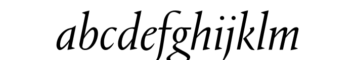 Portrait LightItalic Reduced Font LOWERCASE