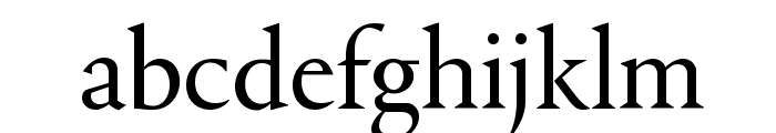 Portrait Regular Reduced Font LOWERCASE