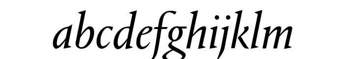 Portrait RegularItalic Reduced Font LOWERCASE