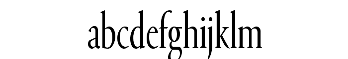 PortraitCond Light Reduced Font LOWERCASE