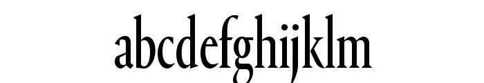 PortraitCond Regular Reduced Font LOWERCASE