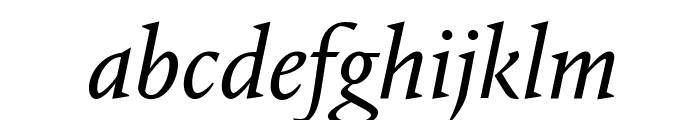 PortraitText RegularItalic Reduced Font LOWERCASE