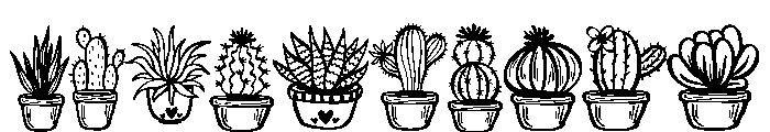 Cute Doodle Cactus Font OTHER CHARS