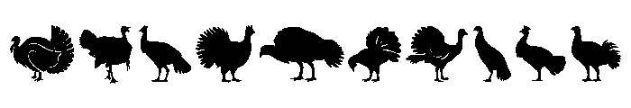 Cute Turkey Font OTHER CHARS