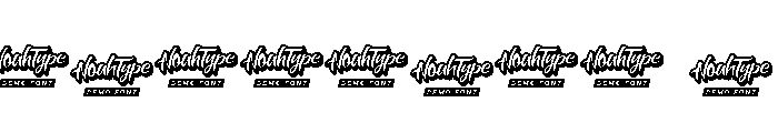 Curly Rose Demo Font OTHER CHARS