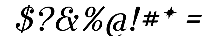 Cursive Serif Book Font OTHER CHARS