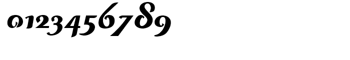 Curly Lady Heavy Italic Font OTHER CHARS