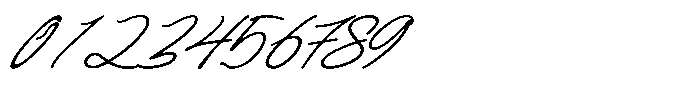 Cursive Holiday Script Font OTHER CHARS