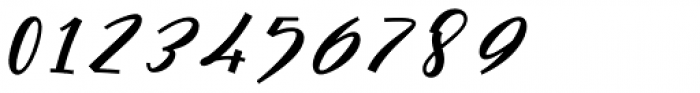 Cursive Signa Script Black Italic Font OTHER CHARS