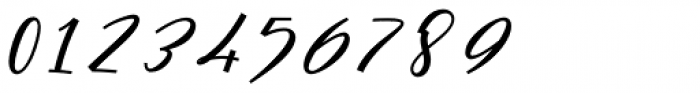 Cursive Signa Script Bold Italic Font OTHER CHARS
