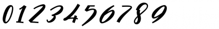 Cursive Signa Script Extra Black Italic Font OTHER CHARS