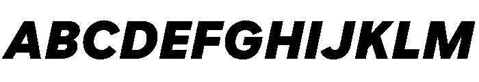 Custom Sans Black Italic Font UPPERCASE