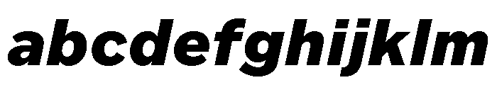 Custom Sans Black Italic FONT