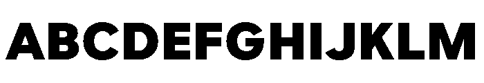 Custom Sans Black Font UPPERCASE