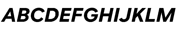 Custom Sans Bold Italic Font UPPERCASE