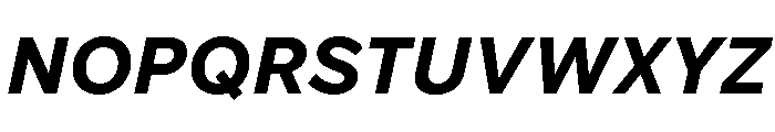 Custom Sans Bold Italic Font UPPERCASE