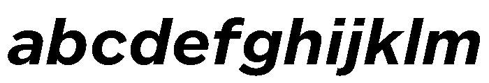 Custom Sans Bold Italic FONT