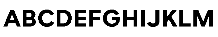 Custom Sans Bold Font UPPERCASE