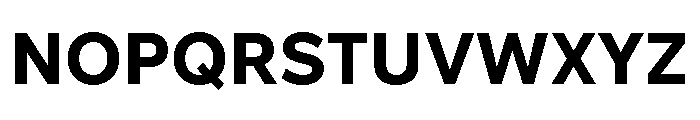 Custom Sans Bold Font UPPERCASE