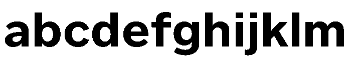 Custom Sans Bold FONT