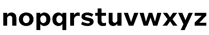 Custom Sans Bold Font LOWERCASE