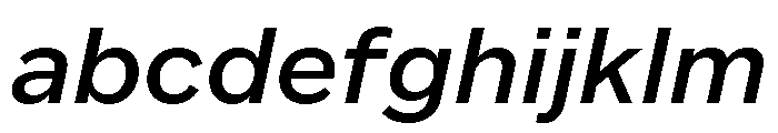 Custom Sans Semi Bold Italic FONT