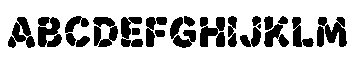 Cytis Regular FONT