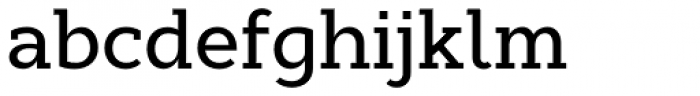 Cyntho Slab Pro Medium Font LOWERCASE