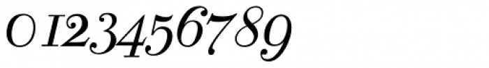 Cyrillic Latino Italic Font OTHER CHARS
