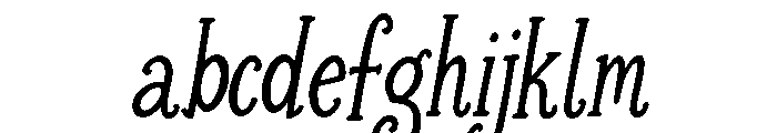 Daily Darling Serif Slant FONT