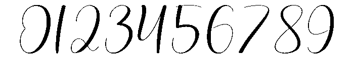 Dailystory Font OTHER CHARS