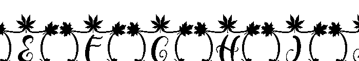 Dainty Autumn Font UPPERCASE