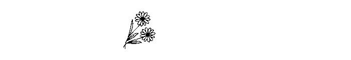DaisyFloralMonogramSuse-Reg Font OTHER CHARS