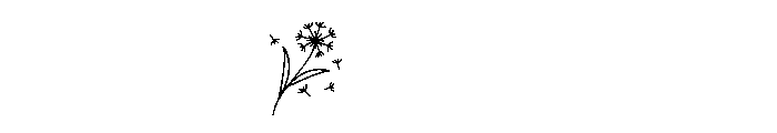 DandelionFloralMonogramSuse-R Font OTHER CHARS