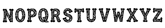 Danio Regular Font LOWERCASE